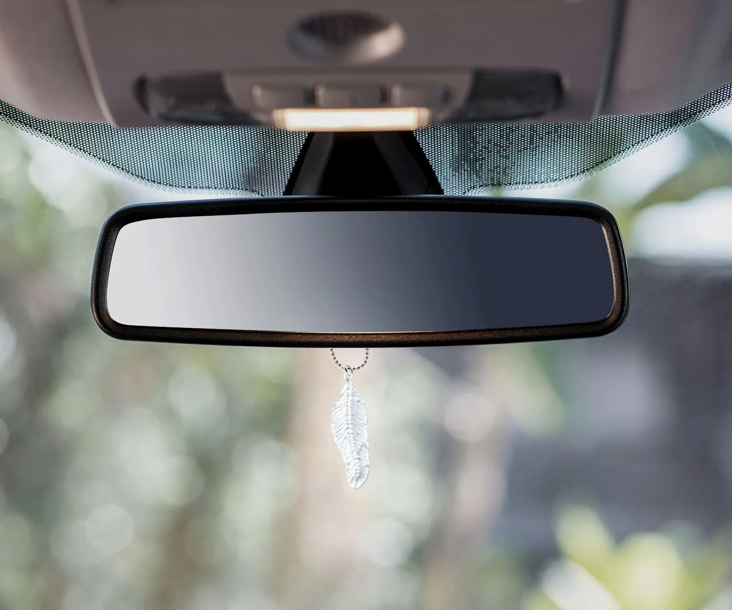 Carded Feather Car Charm